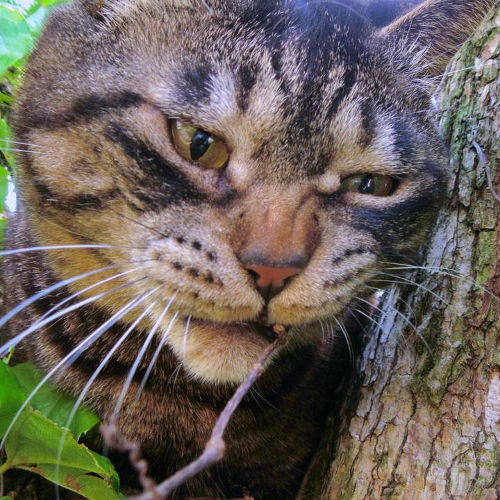 53e7cdc2 3014 4a75 9481 cbd4fe641d10