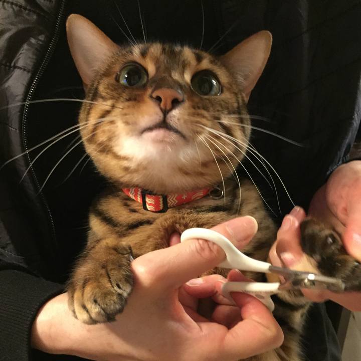 53e7e765 3c09 4318 9ef2 f41365e87633