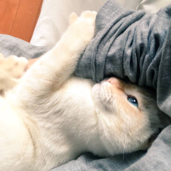 53e838c1 a351 4d2f a50d fd1b121ccf23