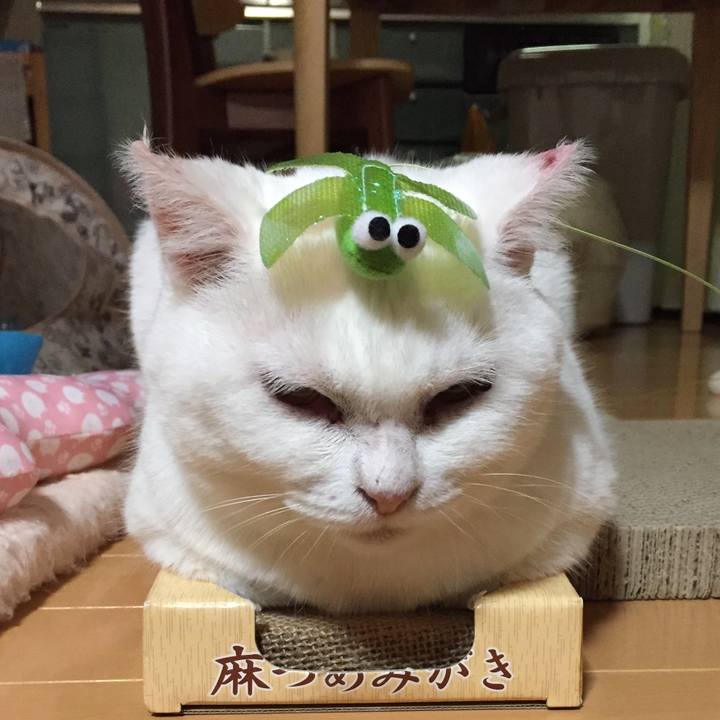 53e85caf 89a7 4c8f b77f 50428c30c29d