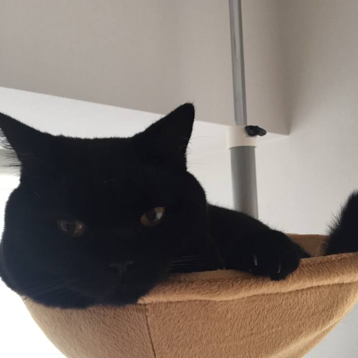 53e8698e 307a 44ac a6d1 49cb1421bcc0