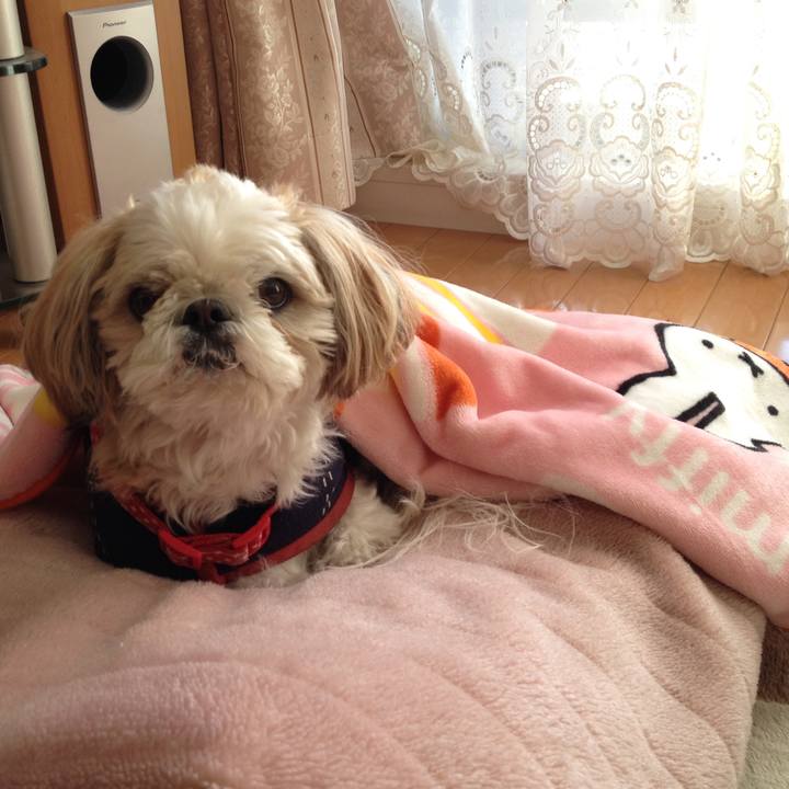 53e90c76 e14f 4c9c b6b6 16ccc9e025c3