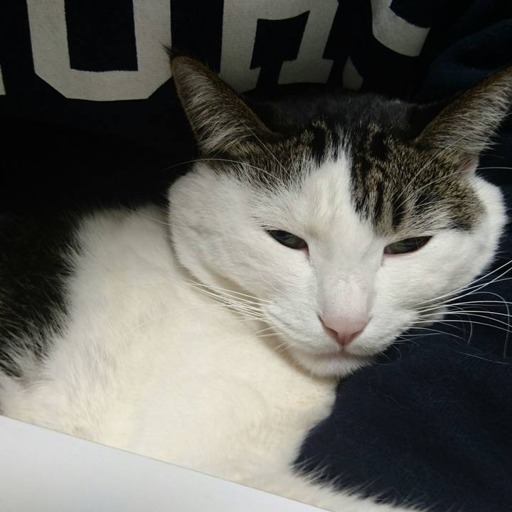 53e9a2cd e654 4980 8d58 21930172f6cc