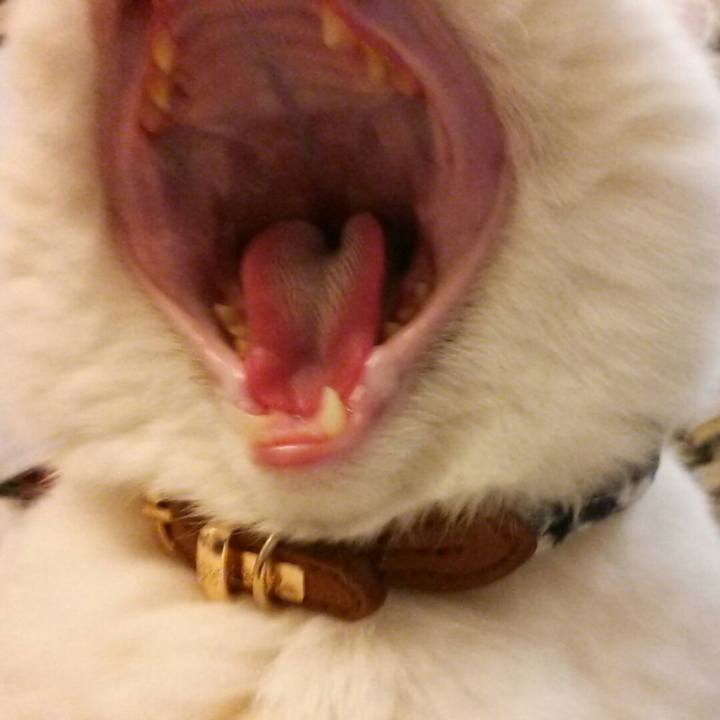 53e9ced4 87d4 49a1 af7b cc59d1f35147