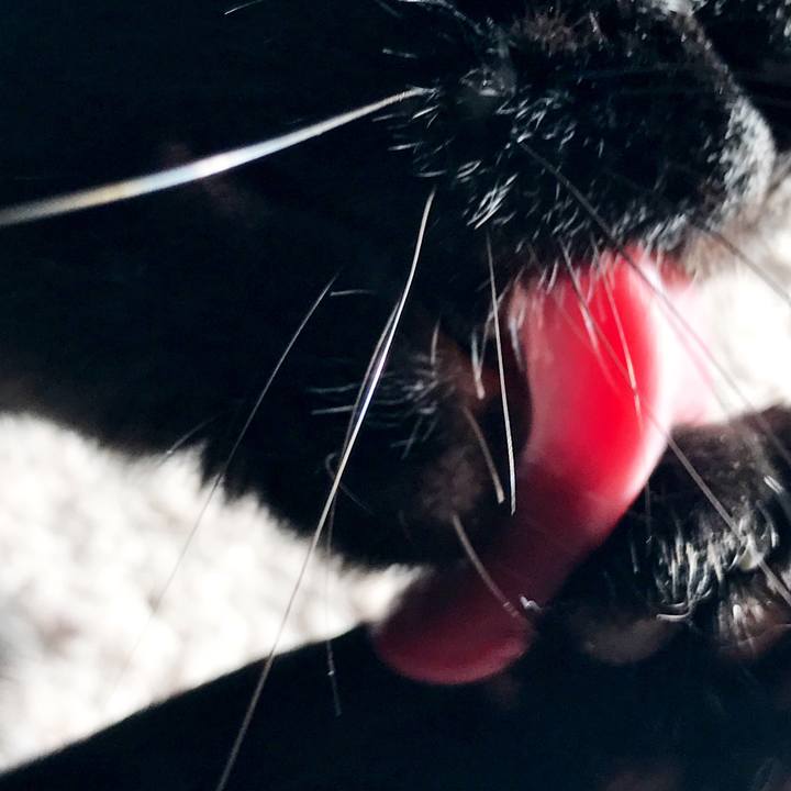 53ea9b00 7c57 4d30 885b 8b655f24b6f4