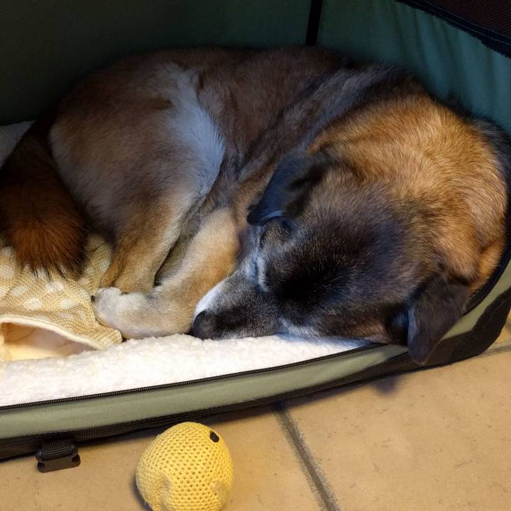 53eaf235 0a41 471e ad0c da95f2ac09b9