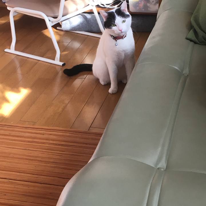 53eb1209 fc65 4344 93df 74ffc21188fe