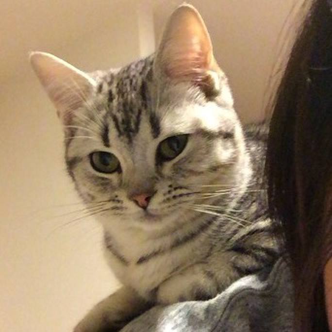 53eb764f f2c7 4b3c a83b 82e07aac9c4b