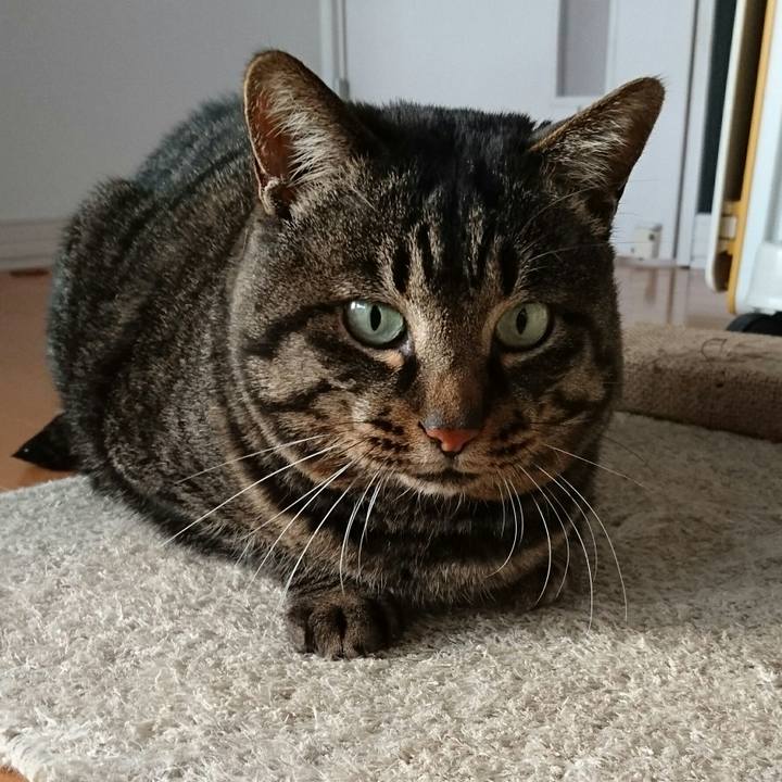 53ebe3df b744 49b6 8cfc caadd4c434f9