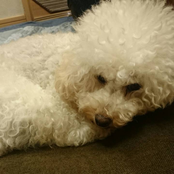 53ec3722 316d 47d9 b8cd 5ddd9d07a8a0