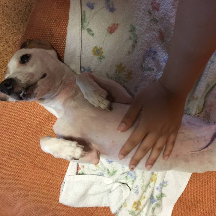 53ec5ce5 145a 487c bb7e ad6de7737806