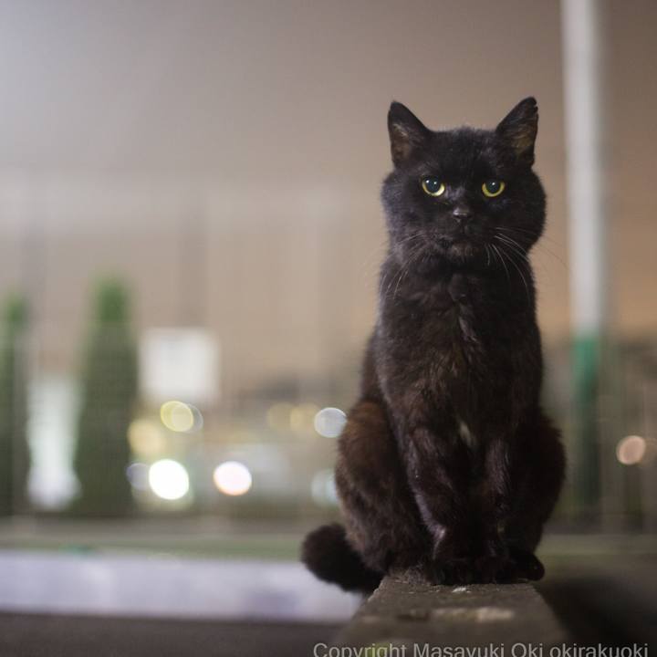 53ec7cf7 6e6f 435e a9e2 49b572462865