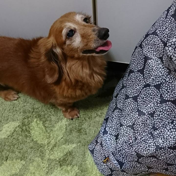 53ec86f5 2c3f 4870 a33d 8d4693019405