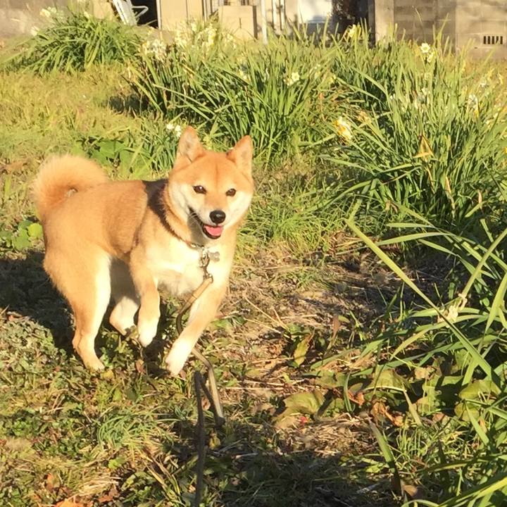 53eca05d 4b43 4d07 87e9 35f1c8dc65bd