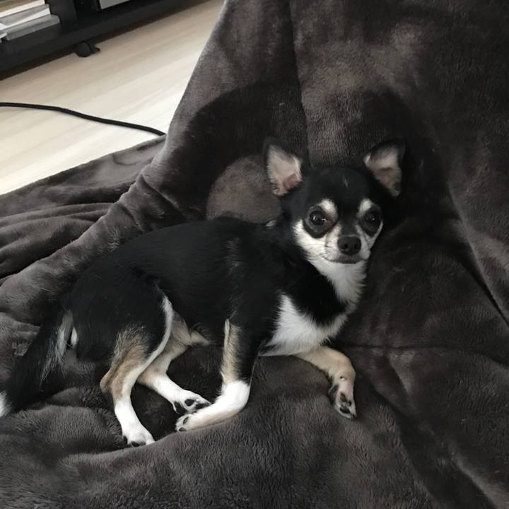 53ecee90 8846 4938 b2b4 b7aafc99480c