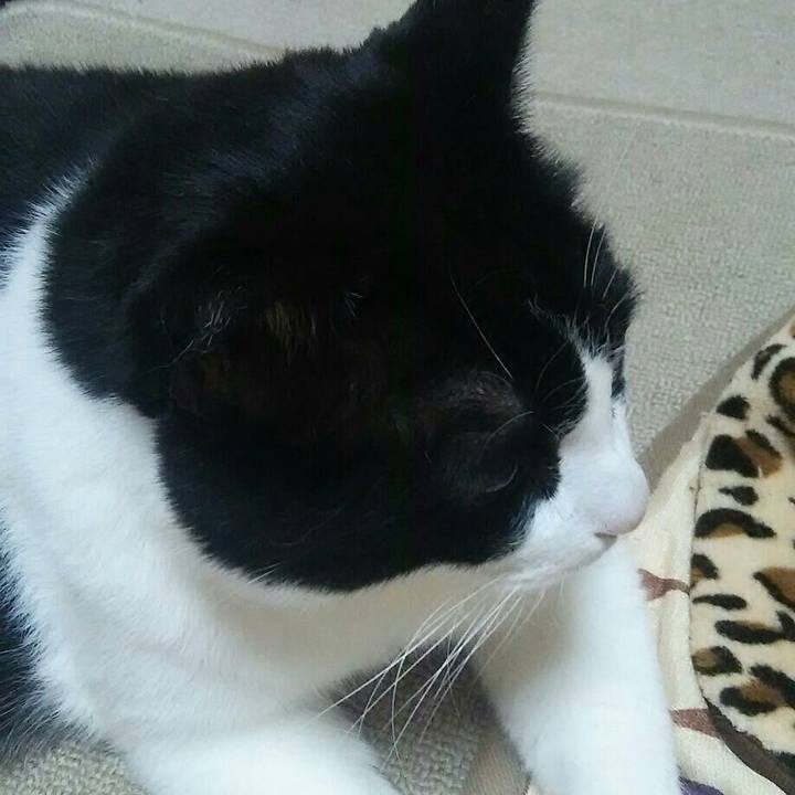 53ecf569 e282 4fa2 9aa2 d0b020465e05