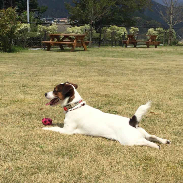 53ed2259 00eb 4bd4 a4fa 0ee0ef1415f2