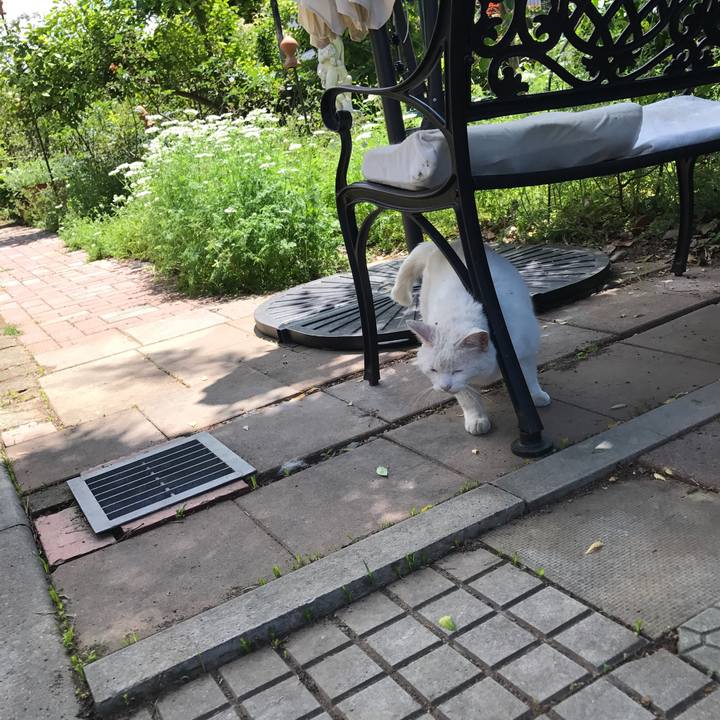 53ed631f efb5 4ce5 82b4 2b0bf11e7f0b