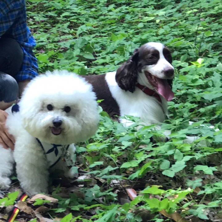 53ed70fd 33c0 406b 9000 f564ca0b567e