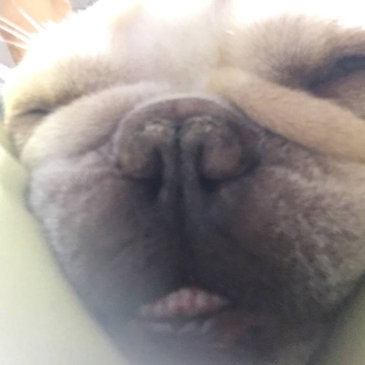 53ee383e 0917 4d11 ab30 1cb92c6d5ef7