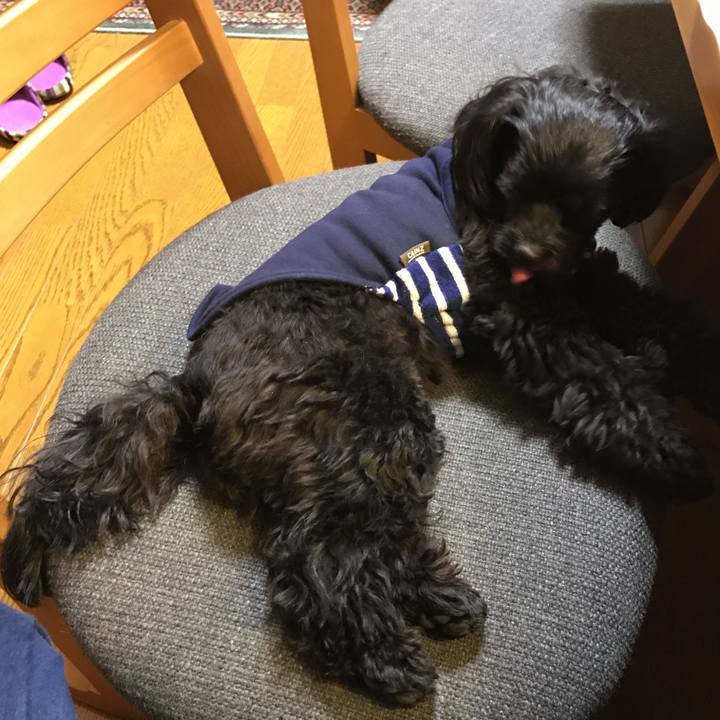 53ef1ad8 7989 4f48 b25a f36e3b7132a0