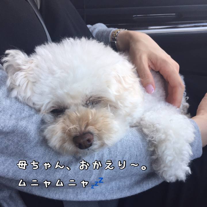 53f26041 3465 440f 9b94 8e884b03677f