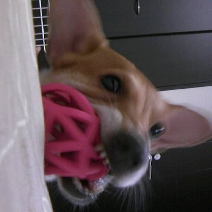 53f36503 e69d 43cf 9ad4 93a932f6d374