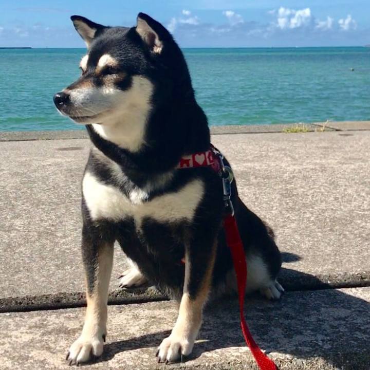 53f43dca 9785 4a01 a12f 0f346bb2bd6f