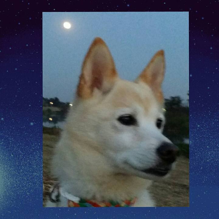 53f4f2a4 0c5d 4ea3 b5ac 065e994caa38