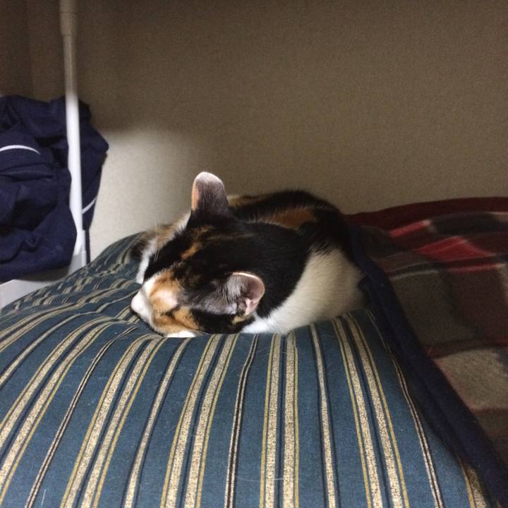 53f527aa 16df 4a2b ba84 10ad74911349