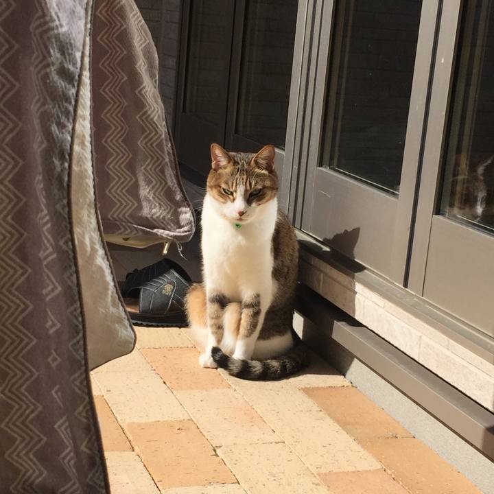 53f52a78 f6f7 423b b593 5df2c57726b0