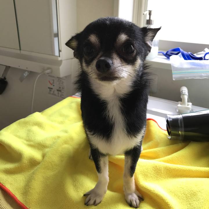 53f5b4ee d216 4714 b9e2 c2780fd7262a