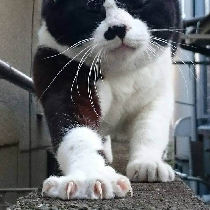 53f5df26 cb8d 400f 91c7 b1f665a8f604