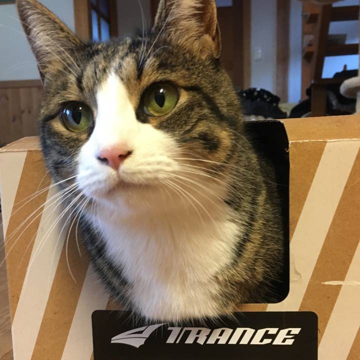 53f6c83f e10d 42d5 b02a 255d11515e4d