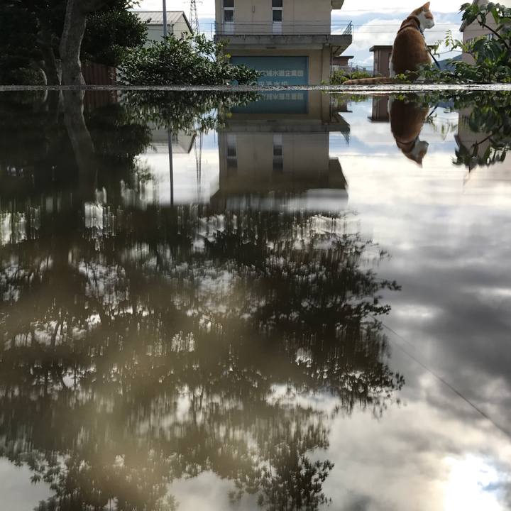 53f73498 37aa 4e3f ad69 f9ff97ae6835