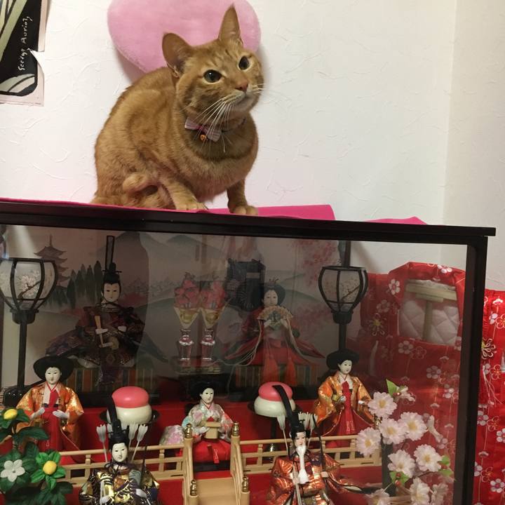 53f7e6a4 55a1 418b 9079 36fde9dfbe31