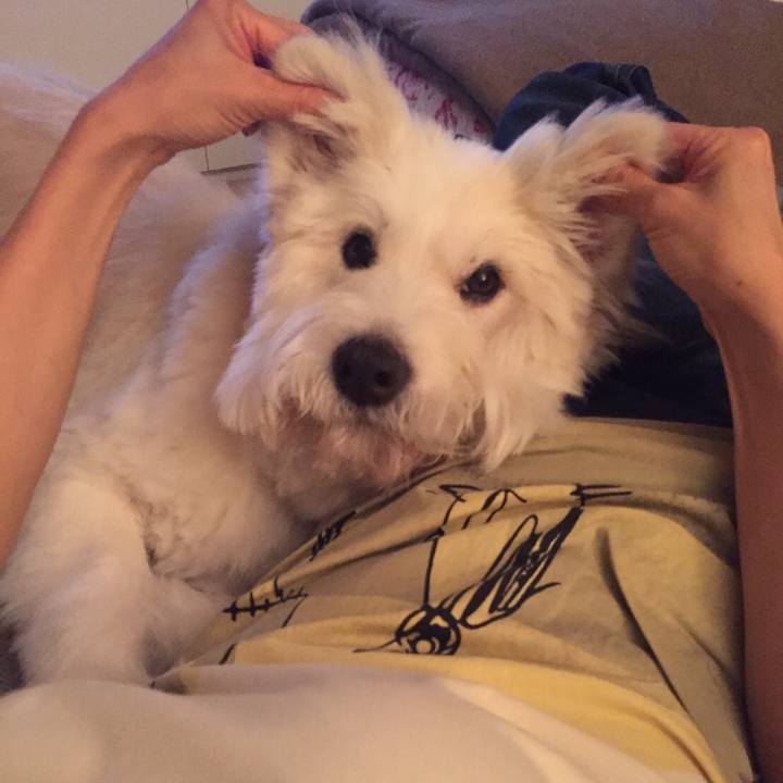 53f8287b 7a67 455a bf0d 80ee9cd4e707