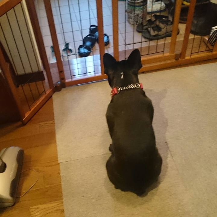 53f84c1d 6bbb 4ebb b048 80b0094c07e7