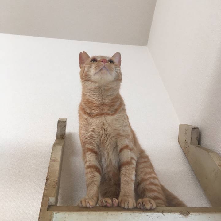 53f8d6da fd99 41b8 8a77 0126f1770db3