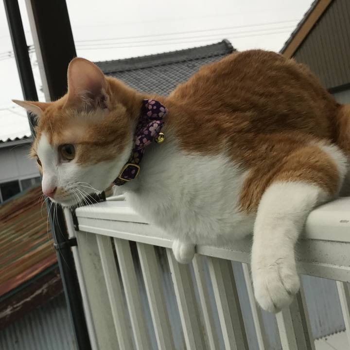 53f9083e 5f27 4371 8437 95312f58ee46