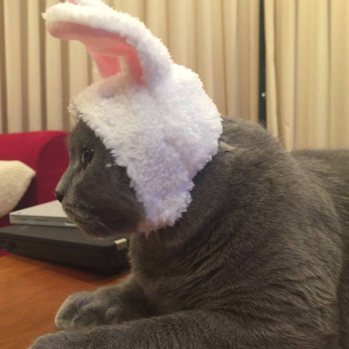 53f932f9 0f92 4f9f 976a e5030f790948