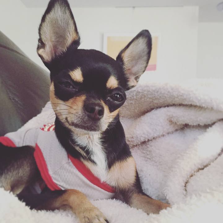 53f960fb 7879 4fed aad2 a3051f8f4ba3