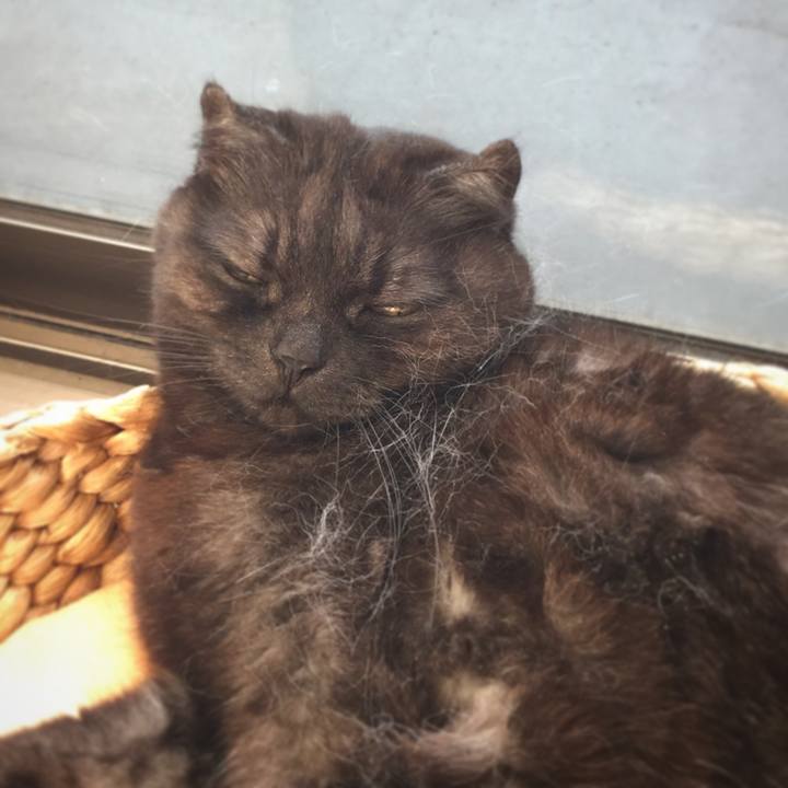 53f98715 05e7 46be 8158 da1ecaa857ed