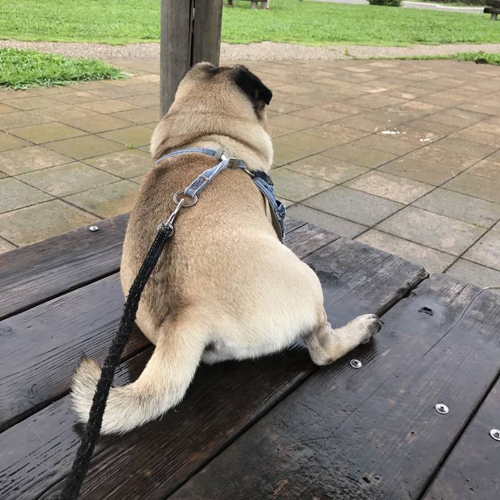 53f991c9 ddba 4932 ab3e 30a80c6a24ac