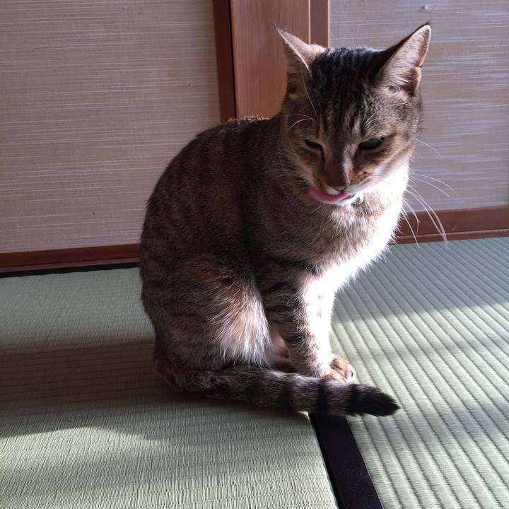 53fa7180 9915 44c0 a70a e9675ea15b3f