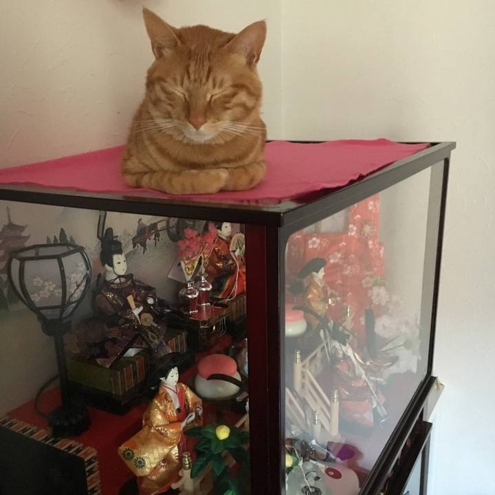 53fb069a 2a0e 437b a0e8 2a9af8ef76b6