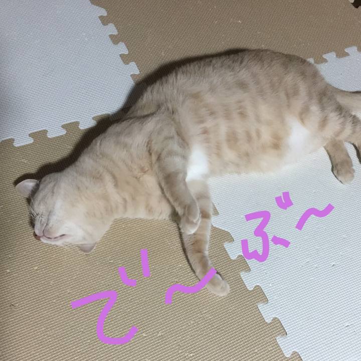 53fb6073 c814 40c9 9c83 328ade2652dc