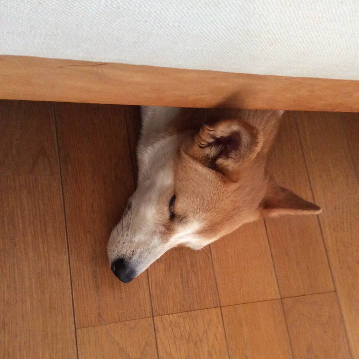 53fb7feb c31c 4c1b b7b3 ed5b2ca8d122