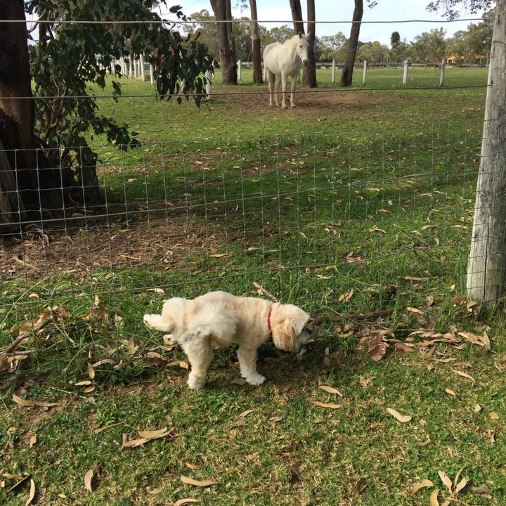 53fbcfc7 9f2b 4008 9fa2 e30d02663f7e