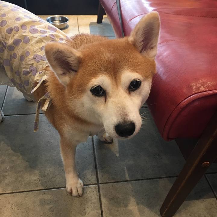 53fc1790 6f78 4441 8627 70d52a2bd5f7